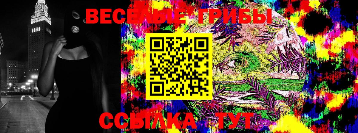 Псилоцибиновые грибы Cubensis Саров